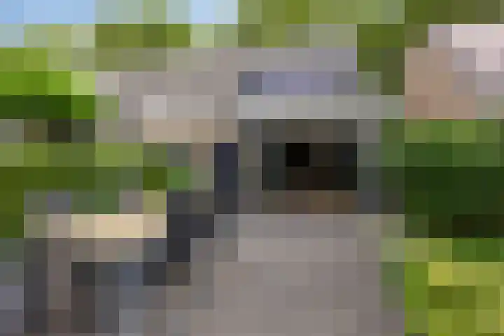 Iependaal 41 Rotterdam thumbnail 39
