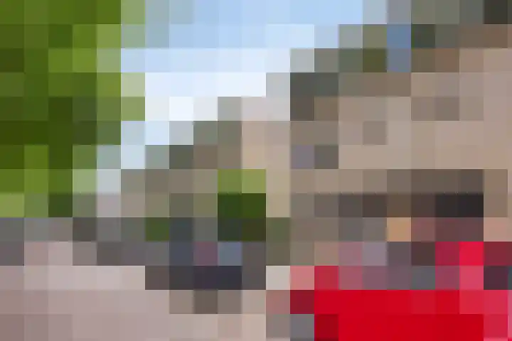 Iependaal 41 Rotterdam thumbnail 4