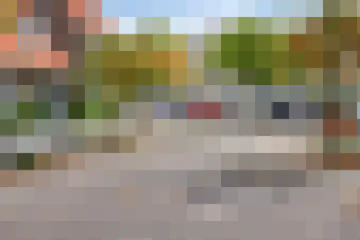 Iependaal 41 Rotterdam thumbnail 42