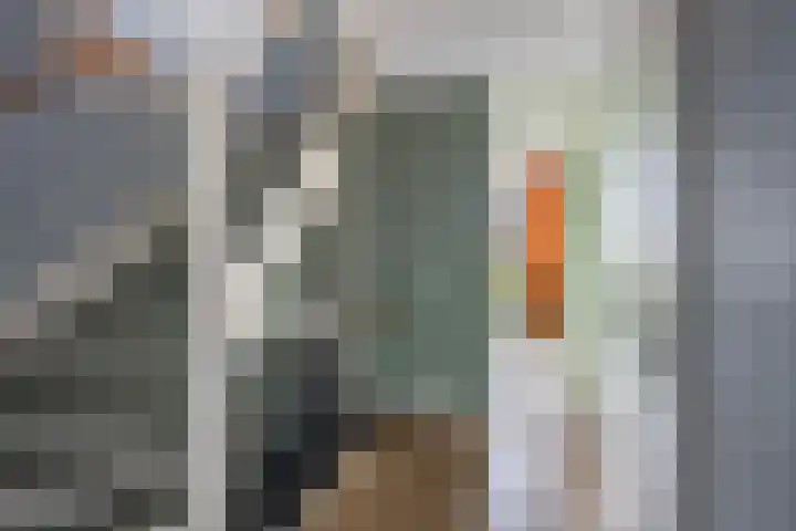 Iependaal 6 Rozenburg thumbnail 21