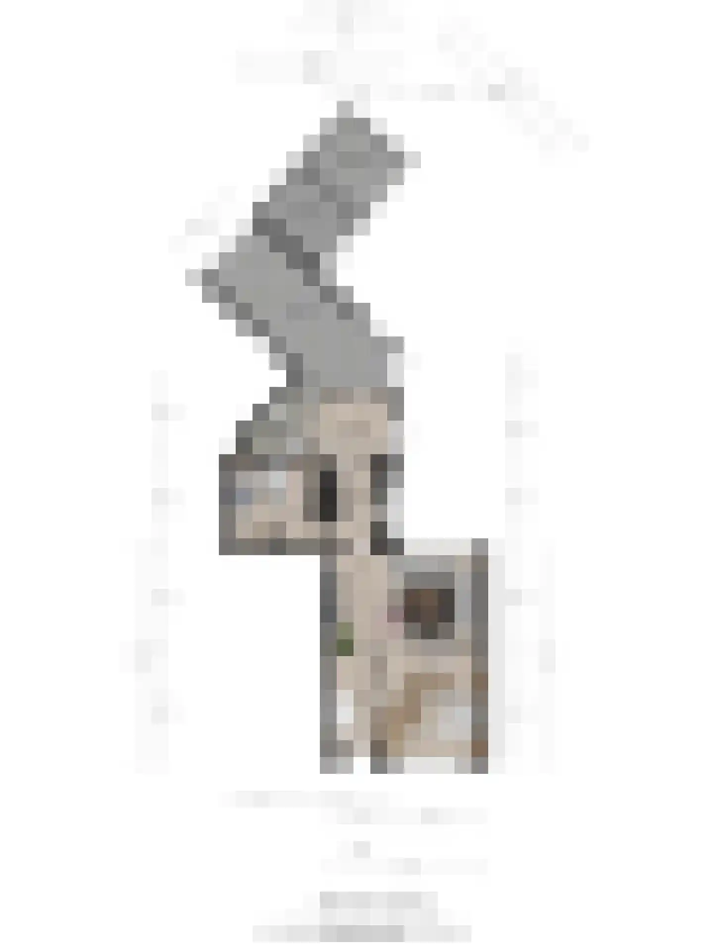 Iependijk 50 Goor thumbnail 40