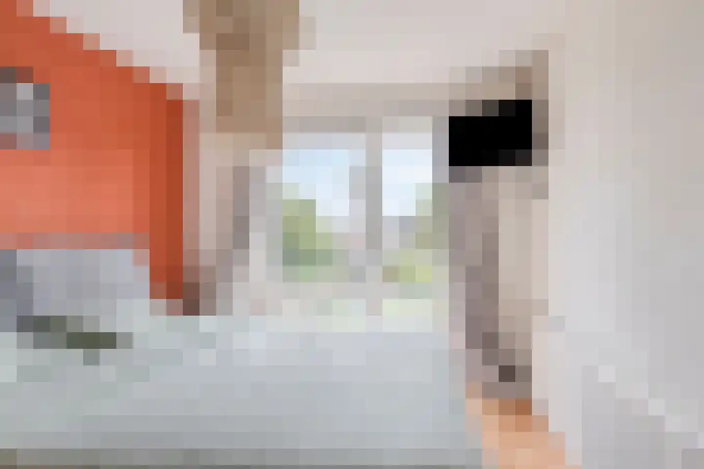 Iependijk 6 Goor thumbnail 12