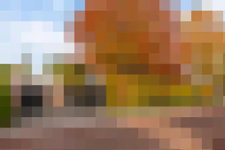 Iependijk 74 Goor thumbnail 30