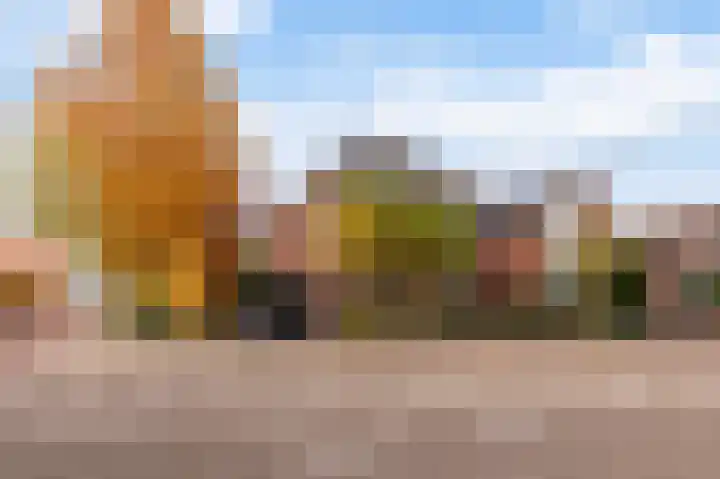 Iependijk 74 Goor thumbnail 4