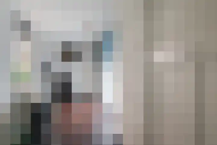 Iependijk 74 Goor thumbnail 8