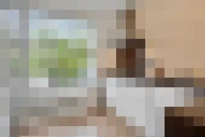Iepengaard 12 Goirle thumbnail 13