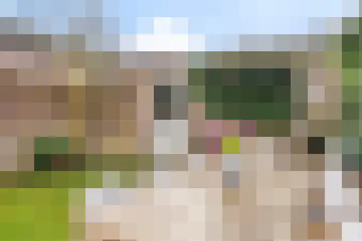 Iepengaard 12 Goirle thumbnail 35