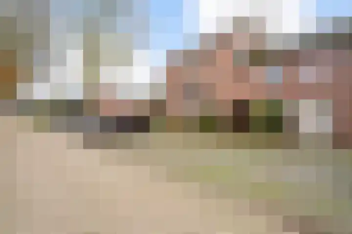Iepengaard 12 Goirle thumbnail 41