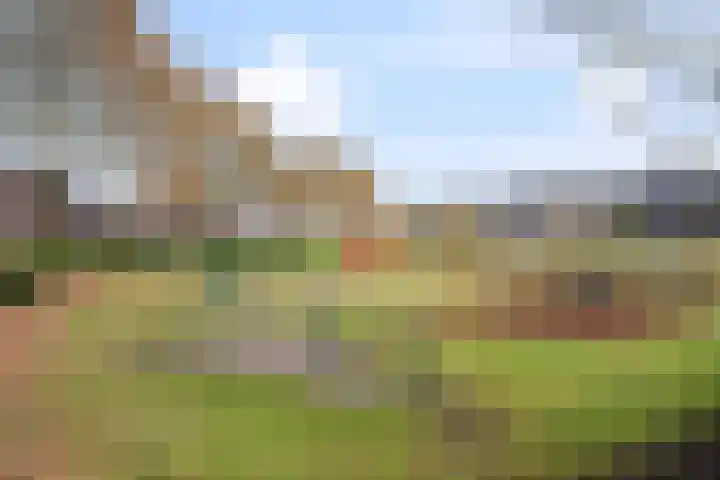 Iepengaard 12 Goirle thumbnail 42