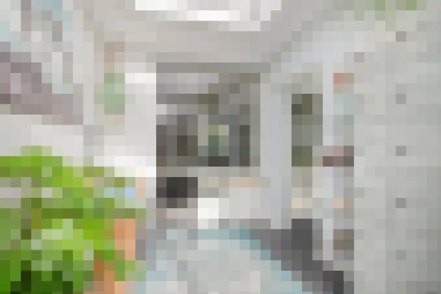Iepengaard 8 Goirle thumbnail 11
