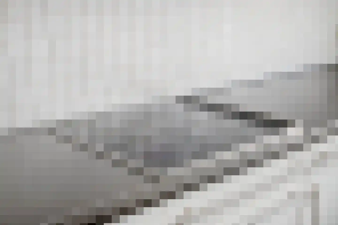 Iepengaard 8 Goirle thumbnail 17