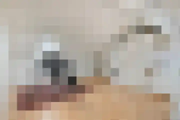 Iepengaard 8 Goirle thumbnail 33