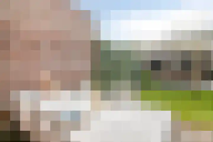 Iepengaard 8 Goirle thumbnail 48