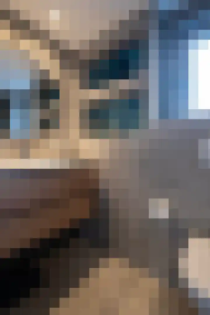 Iepenhof 10 Molenhoek thumbnail 13