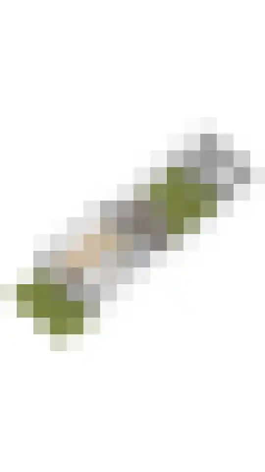 Iepenhof 10 Molenhoek thumbnail 27