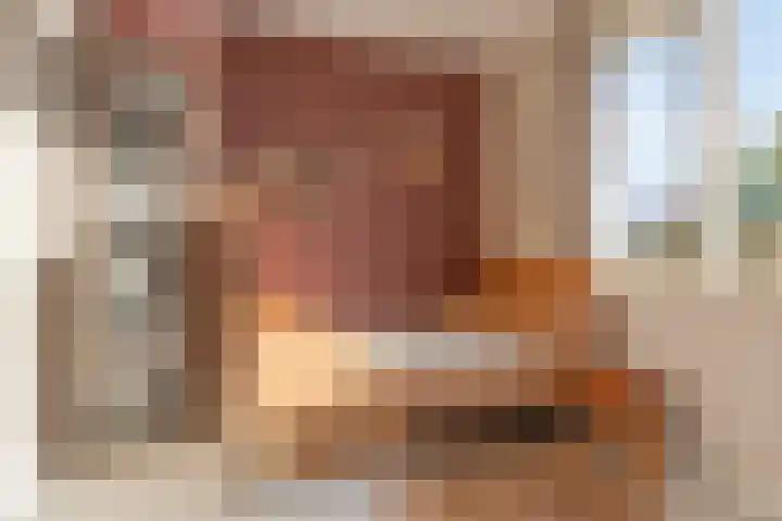 Iepenhof 15 Barneveld thumbnail 33