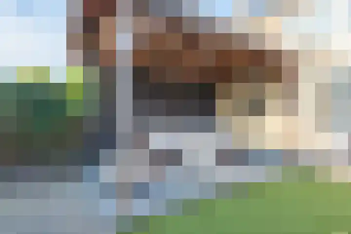 Iepenhof 15 Barneveld thumbnail 43