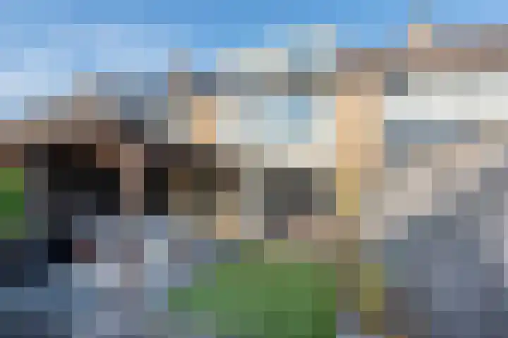 Iepenhof 15 Barneveld thumbnail 47