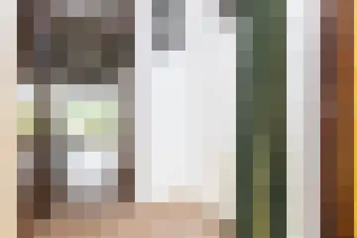 Iepenhof 18 Dieren thumbnail 11