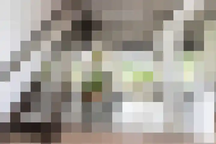 Iepenhof 18 Dieren thumbnail 12