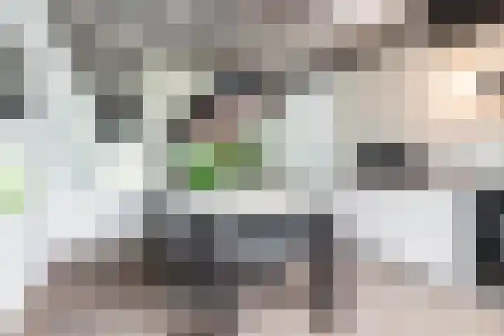 Iepenhof 18 Dieren thumbnail 17