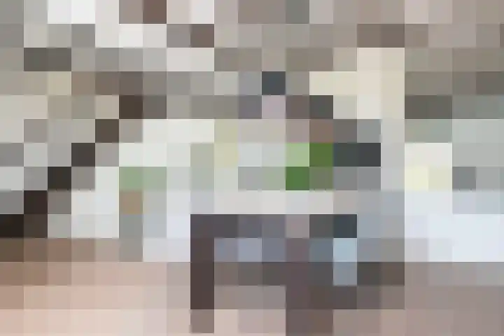 Iepenhof 18 Dieren thumbnail 18