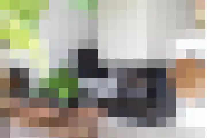 Iepenhof 18 Dieren thumbnail 19