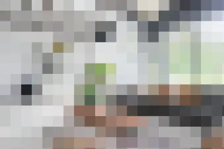 Iepenhof 18 Dieren thumbnail 22