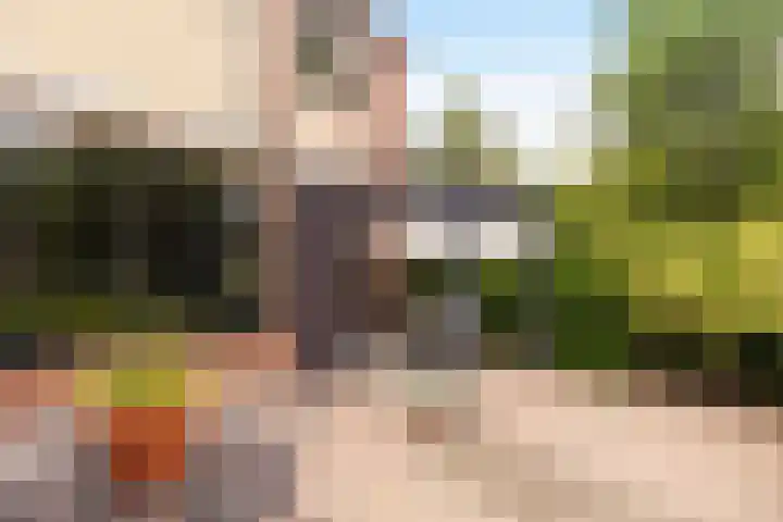 Iepenhof 18 Dieren thumbnail 24