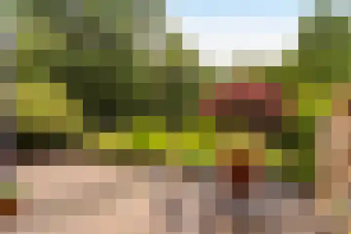 Iepenhof 18 Dieren thumbnail 25