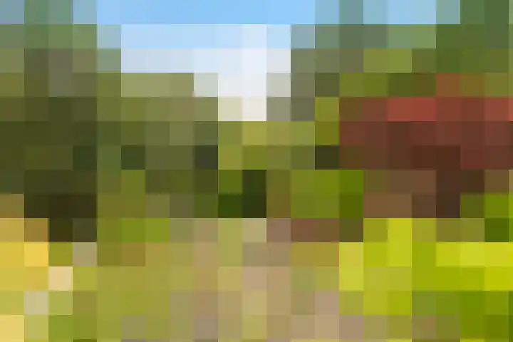 Iepenhof 18 Dieren thumbnail 26
