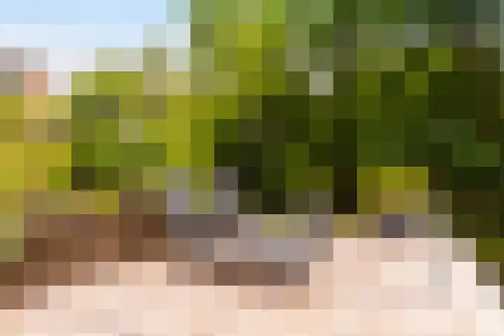 Iepenhof 18 Dieren thumbnail 28