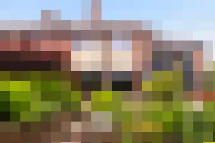 Iepenhof 18 Dieren thumbnail 29
