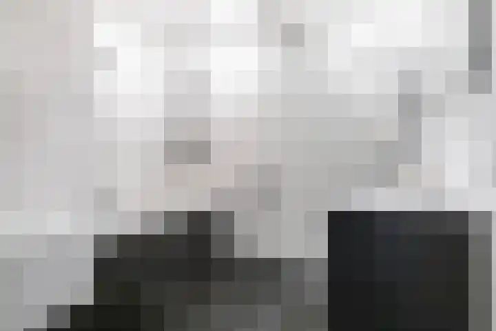 Iepenhof 18 Dieren thumbnail 30