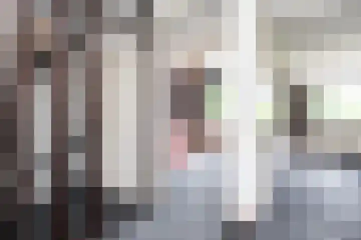 Iepenhof 18 Dieren thumbnail 32