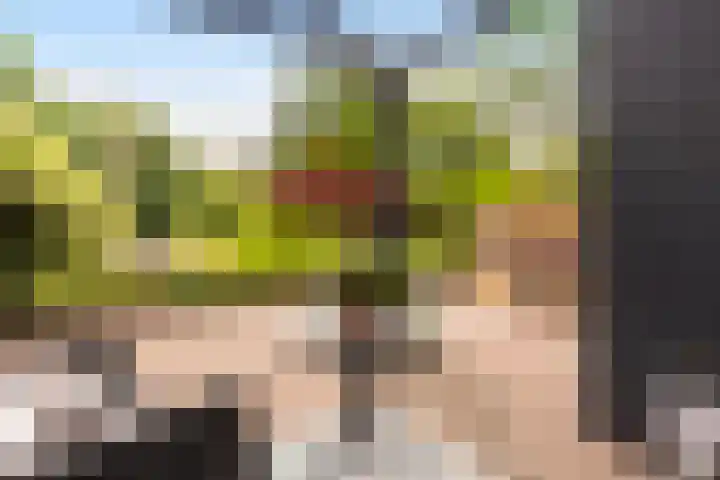 Iepenhof 18 Dieren thumbnail 4