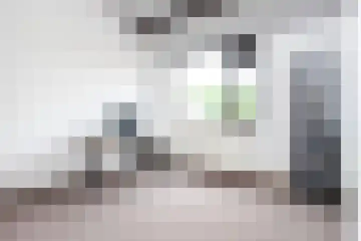 Iepenhof 18 Dieren thumbnail 40