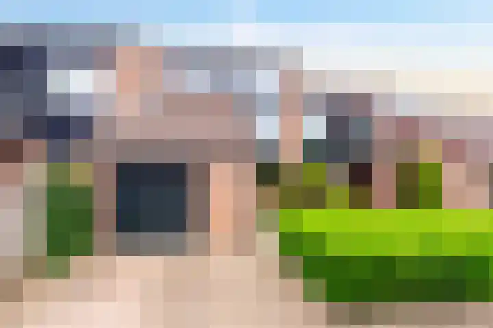 Iepenhof 18 Dieren thumbnail 5