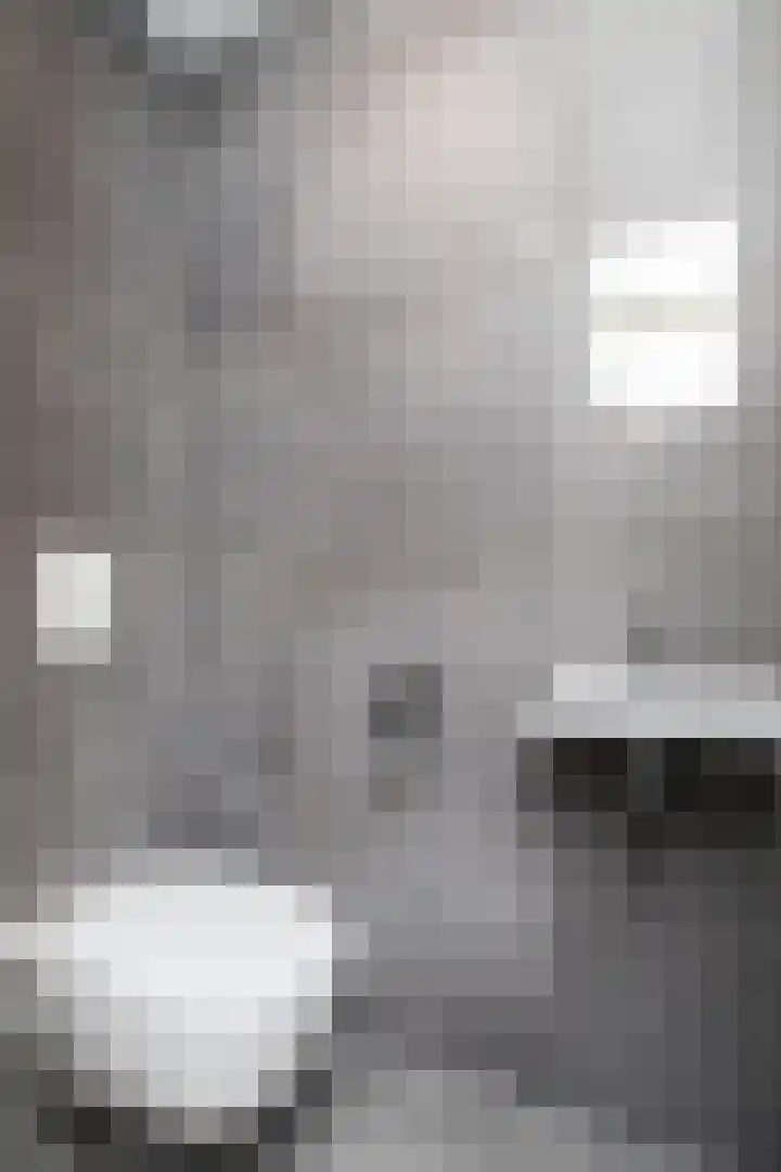 Iepenhof 18 Dieren thumbnail 8