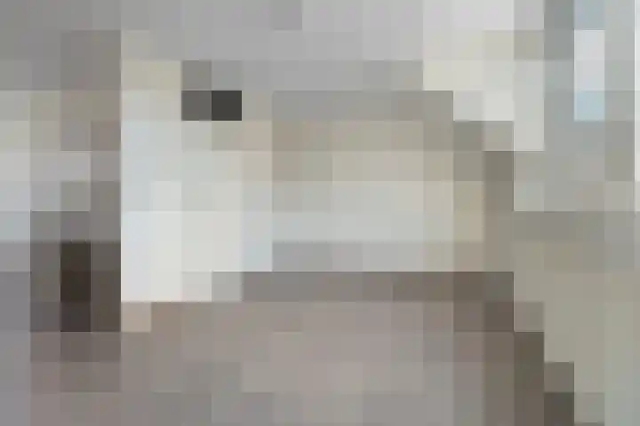 Iepenhof 27 Malden thumbnail 22
