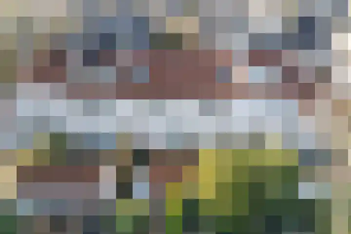 Iepenhof 27 Malden thumbnail 39