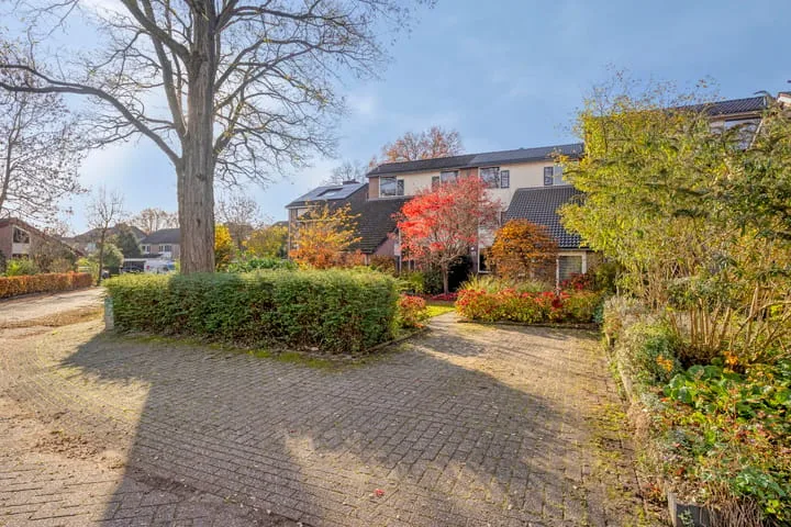 Iepenhof 37 Dieren