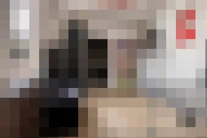 Iepenhof 37 Dieren thumbnail 12