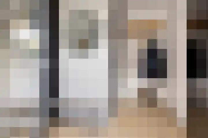 Iepenhof 37 Dieren thumbnail 14