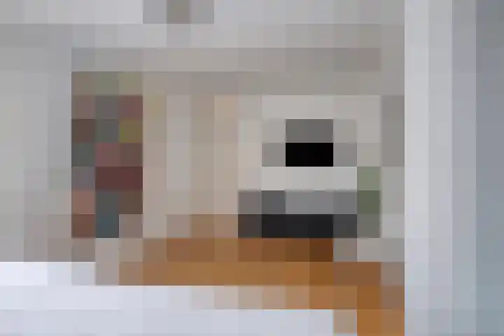 Iepenhof 37 Dieren thumbnail 19