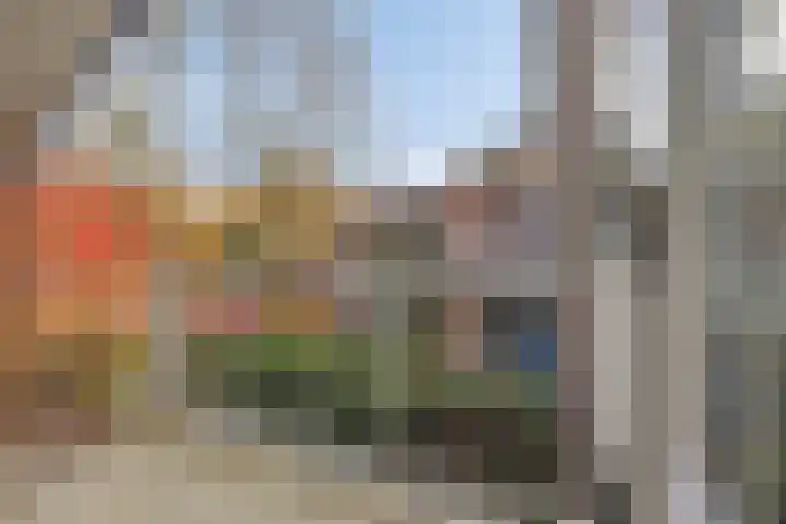 Iepenhof 37 Dieren thumbnail 20