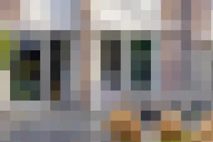 Iepenhof 37 Dieren thumbnail 33