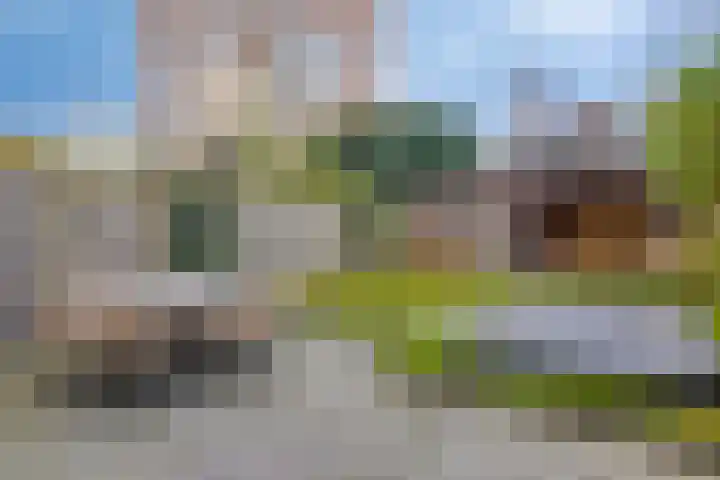 Iepenhof 37 Dieren thumbnail 34