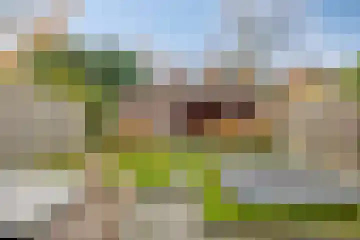 Iepenhof 37 Dieren thumbnail 35