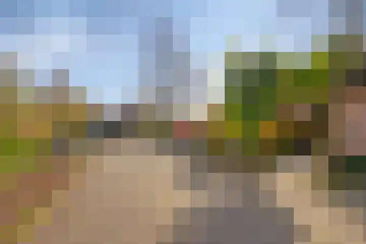 Iepenhof 37 Dieren thumbnail 37